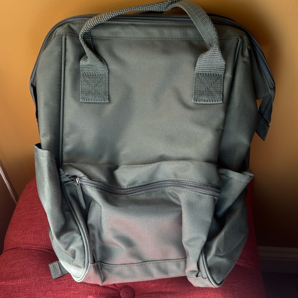 Dsw Backpacks